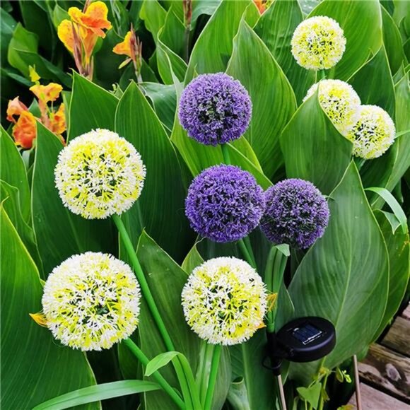 2 Pack Solar Garden Stake Lights, Outdoor Solar Lights Dandelion Flower Design - Picture 6 of 7